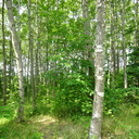 Dsc02052