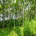 Dsc02047